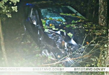ДТП в Пинском районе: водитель Toyota въехал в дерево, есть пострадавшие