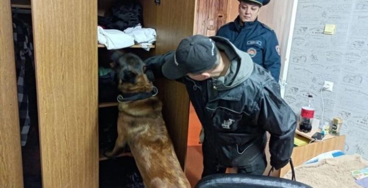 милиционеры с собакой ищут наркотики, фото