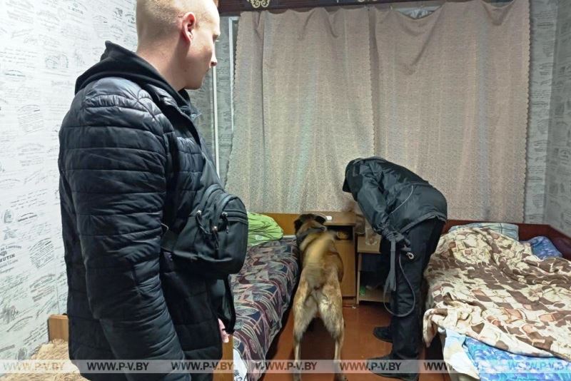 милиционеры с собакой ищут наркотики в Пинске