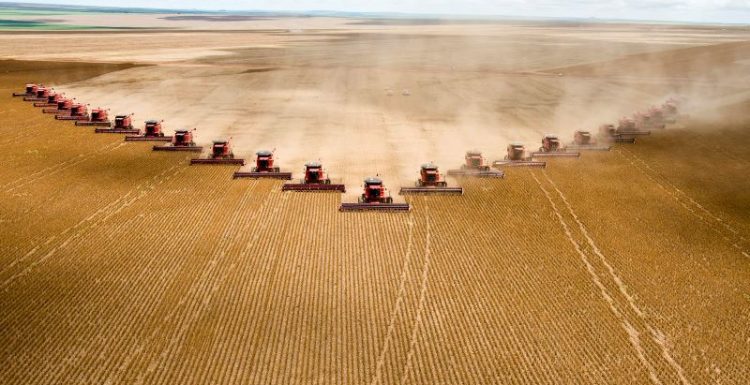 климатические угрозы для сельского хозяйства